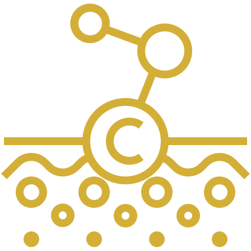 Icono bioestimuladores de colágeno para mejorar firmeza y elasticidad